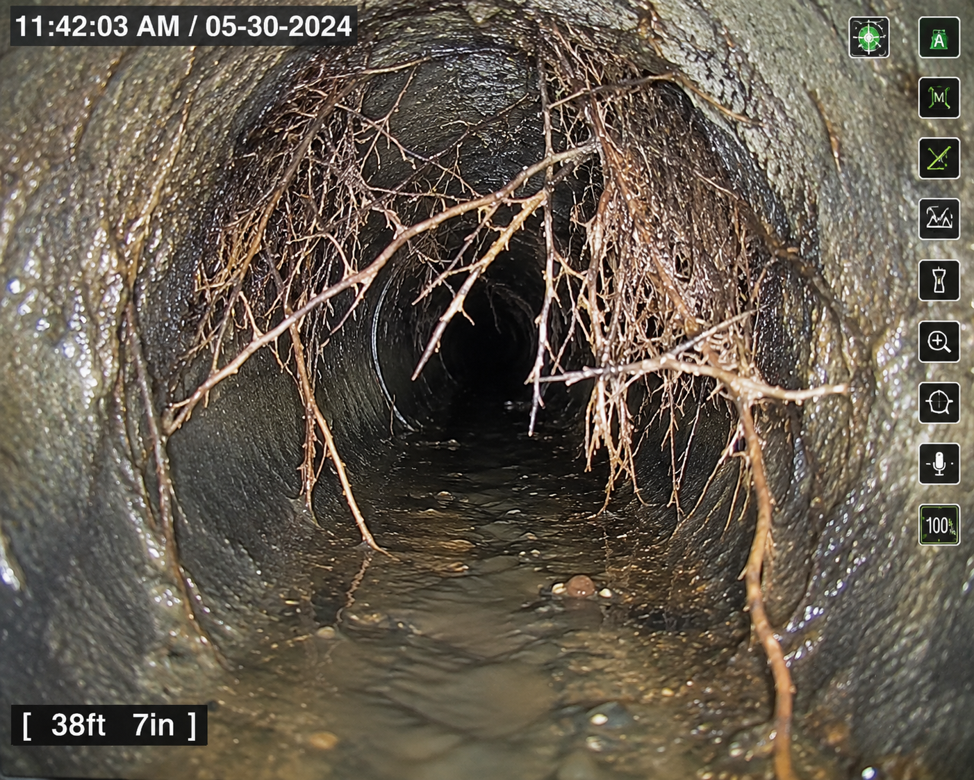 tree roots in sewer line in pompano beach florida