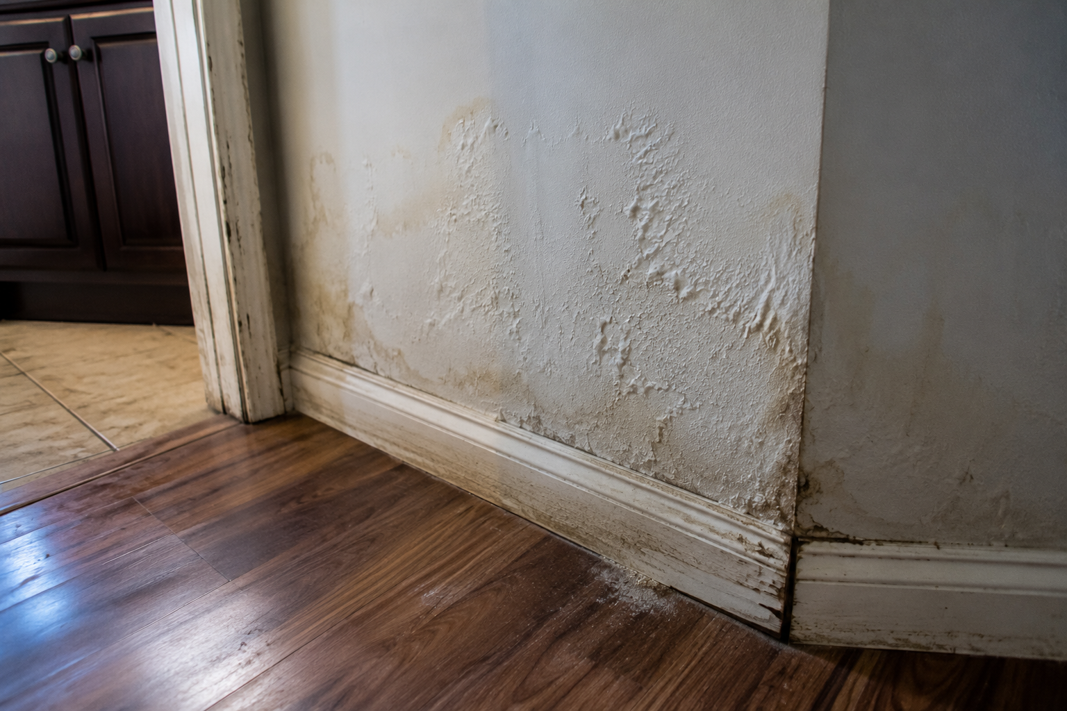 Water coming through ceiling inside Pompano Beach home from emergency plumbing leak